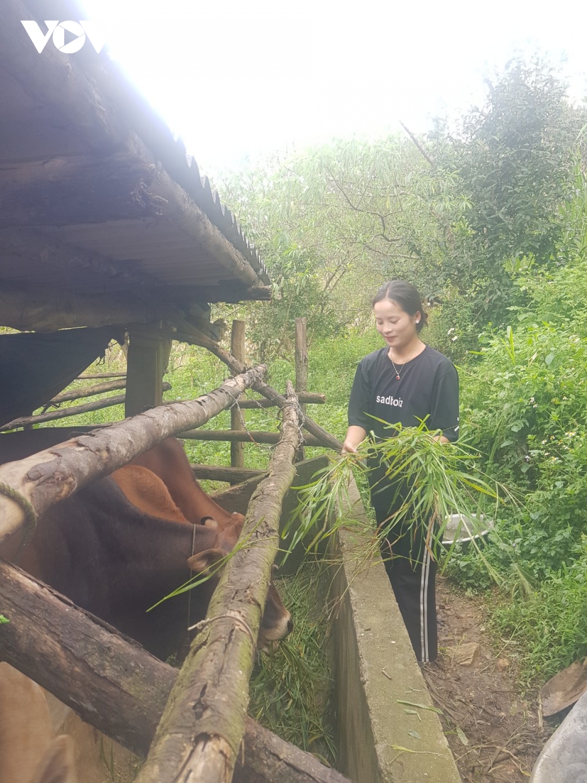 Duong den truong uot dam nuoc mat hinh anh 2