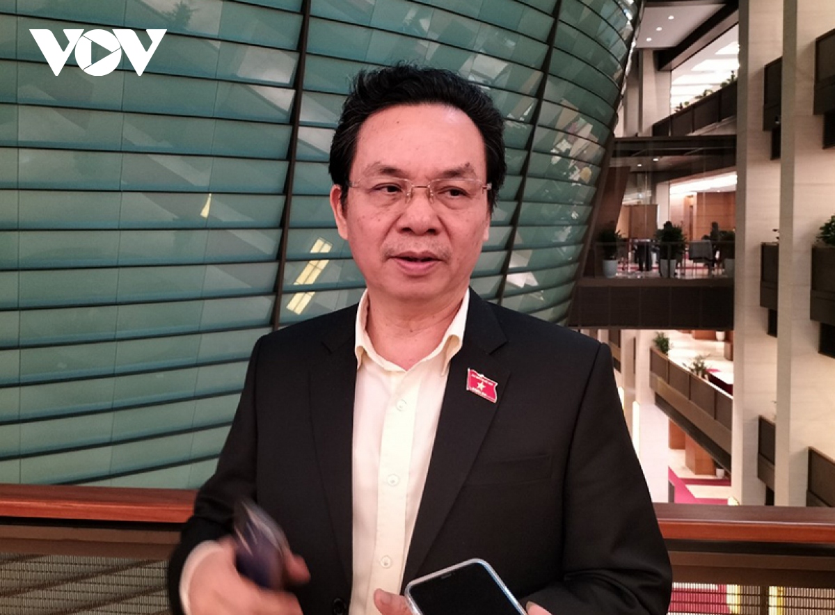 Dai bieu quoc hoi noi gi ve de xuat thu phi o to vao noi do hinh anh 1