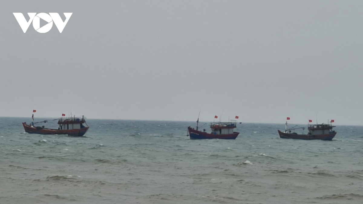 khan truong ung cuu tau ca cung 12 ngu dan gap nan tren bien quang binh hinh anh 1