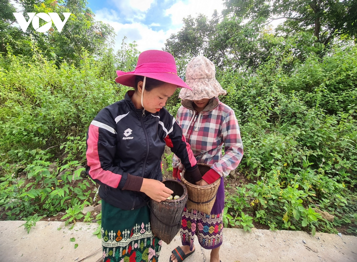 Dong bao mien nui tinh quang binh lam san pham ocop hinh anh 7