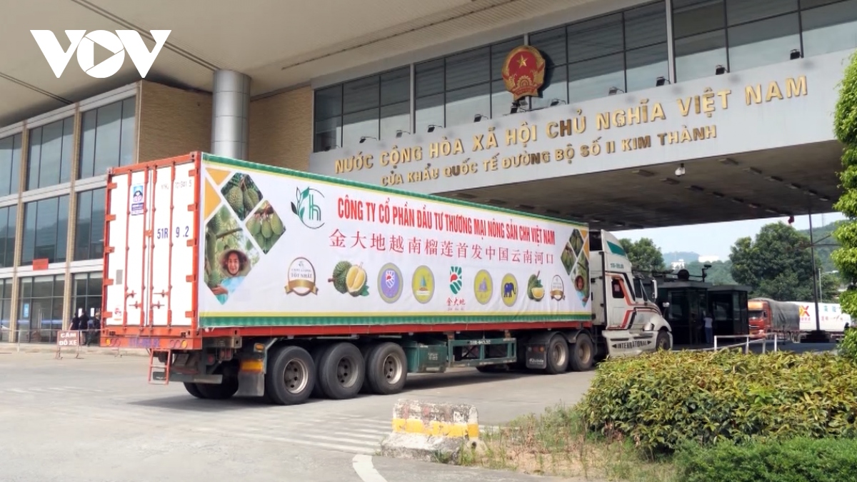 140 tan sau rieng xuat sang trung quoc qua cua khau lao cai hinh anh 1