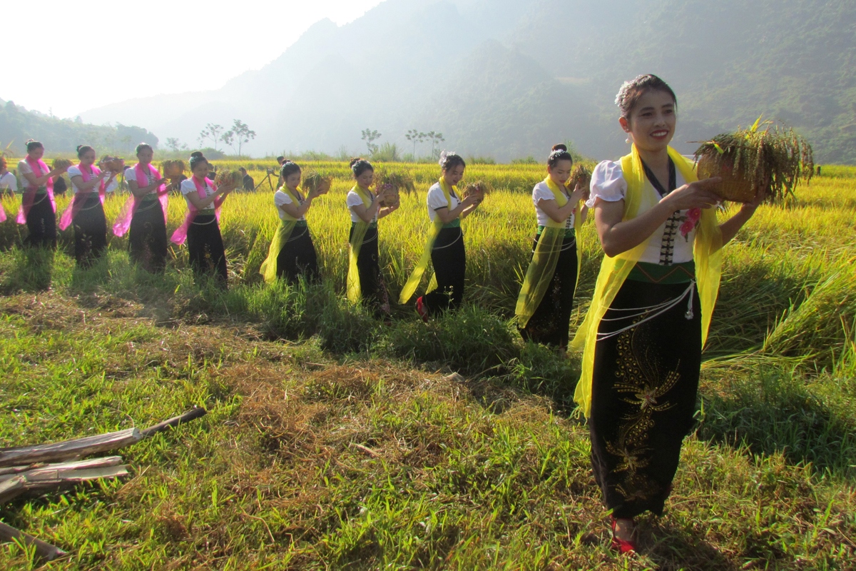Dac sac le hoi kin lau khau mau cua dong bao thai trang phong tho hinh anh 3