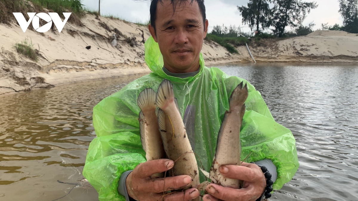 hang tan ca loc trong ho nuoi bi set danh chet o quang binh hinh anh 3