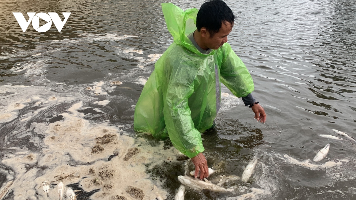hang tan ca loc trong ho nuoi bi set danh chet o quang binh hinh anh 5