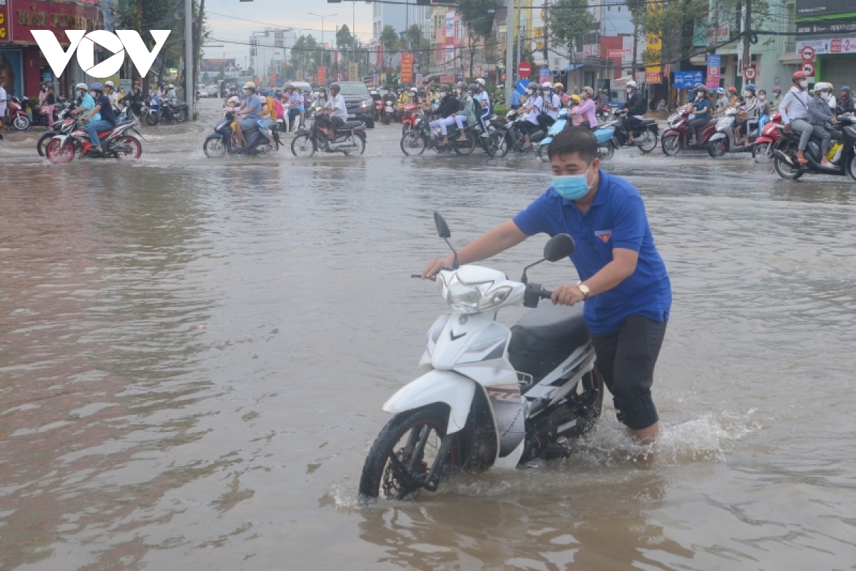 nguoi dan can tho chat vat dua con den truong ngay trieu cuong vuot bao dong iii hinh anh 3
