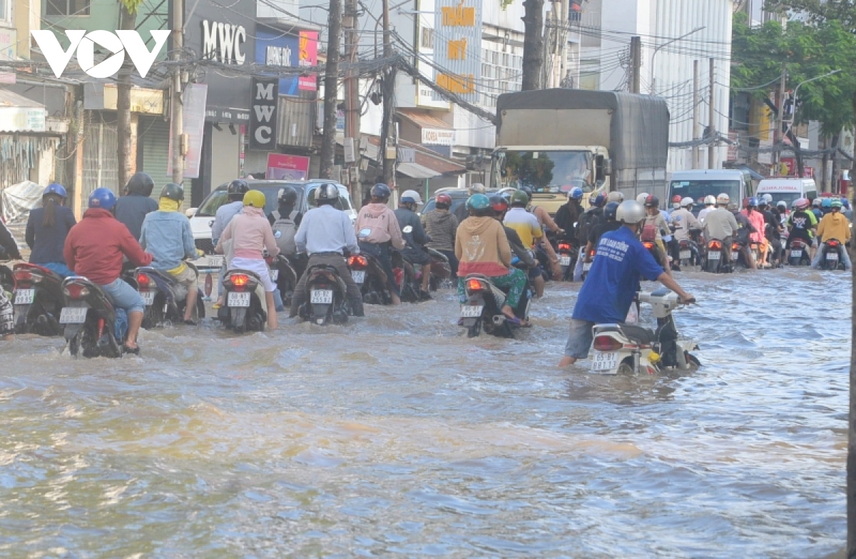 trieu cuong tiep tuc dang cao o Dbscl, nhieu noi vuot bao dong 3 hinh anh 10
