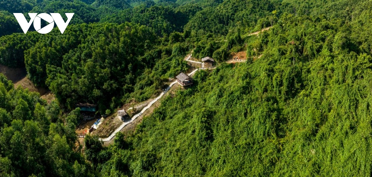 tu bo di tich Dia dao khu uy tri thien hue huong toi phat trien du lich hinh anh 1