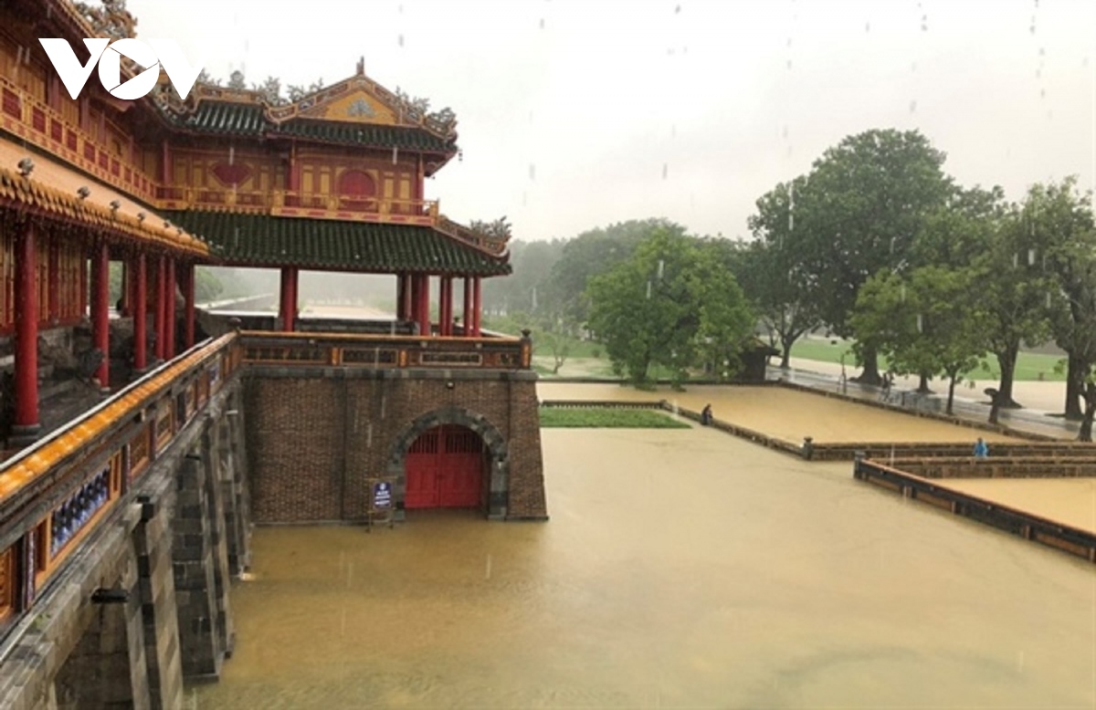 chu dong bao ve di san hue trong mua mua bao hinh anh 3