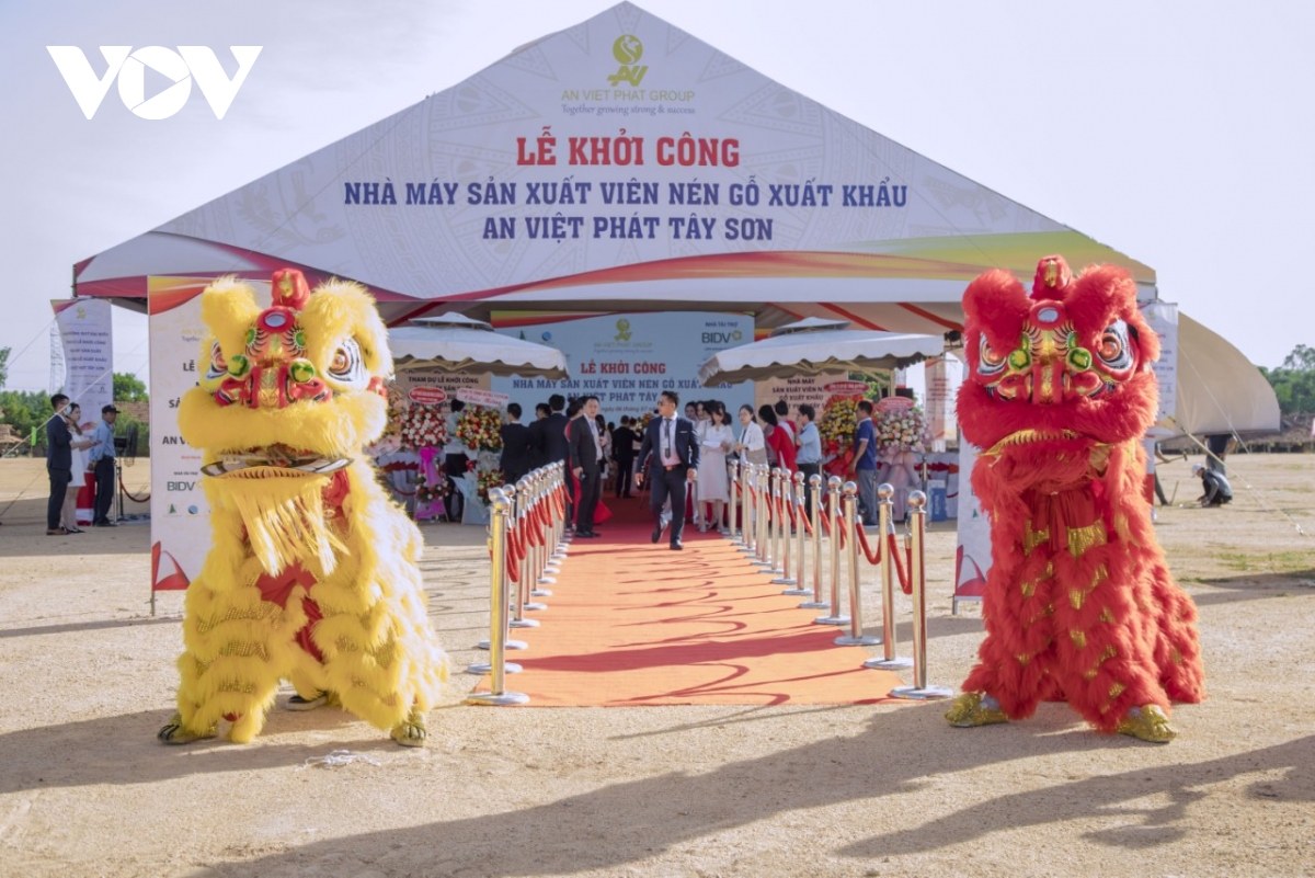 binh Dinh day manh thu hut dau tu hinh anh 3