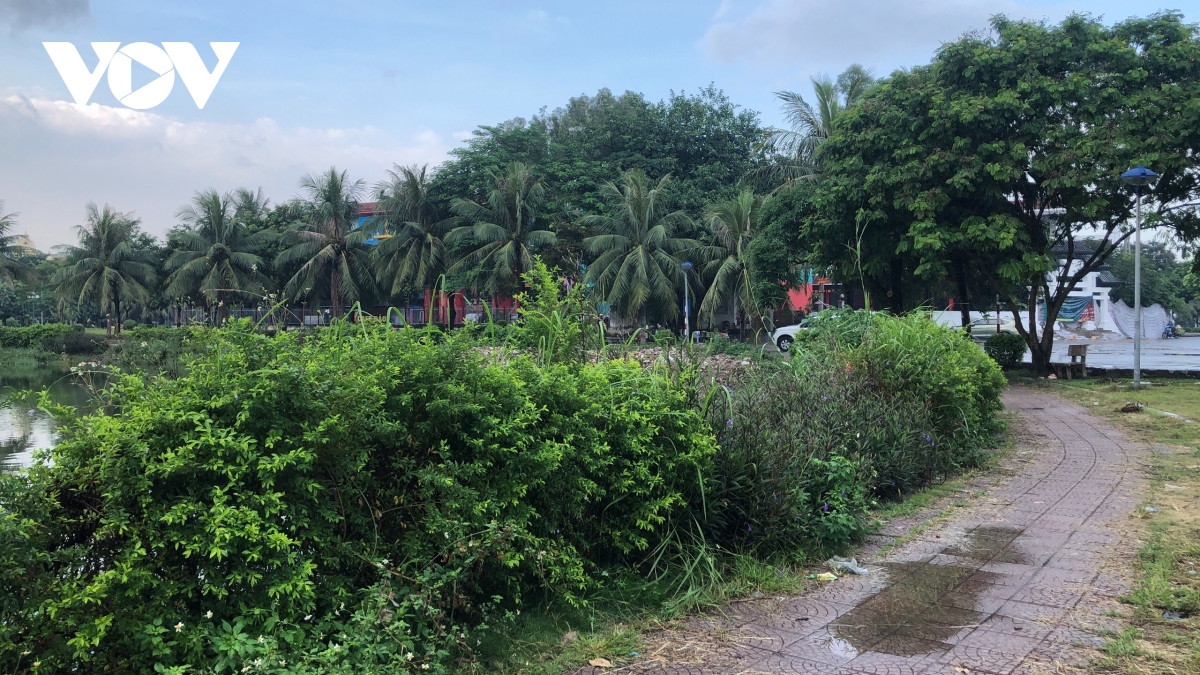 vuon hoa, cay xanh o long bien van hoang hoa du da chi 8,5 ty dong duy tu hinh anh 1