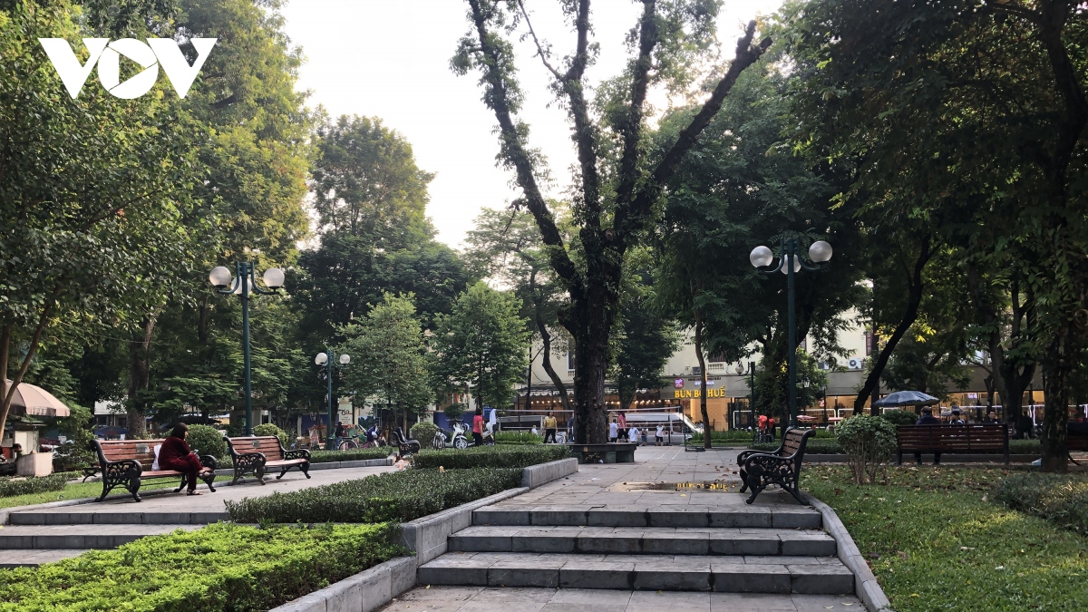 can canh vuon hoa co tan da lat sut lun, bong troc nhu bay nguoi qua lai hinh anh 1