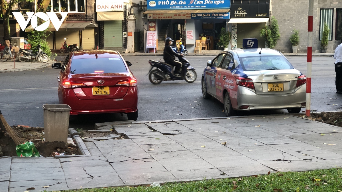 can canh vuon hoa co tan da lat sut lun, bong troc nhu bay nguoi qua lai hinh anh 14