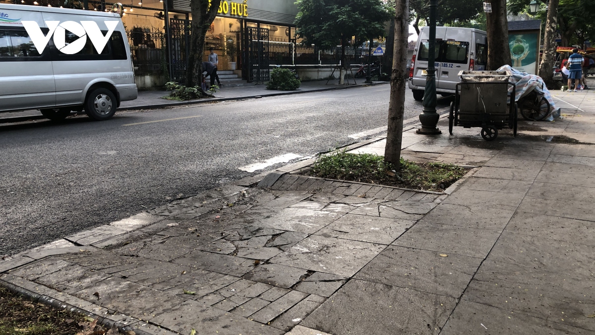 can canh vuon hoa co tan da lat sut lun, bong troc nhu bay nguoi qua lai hinh anh 15