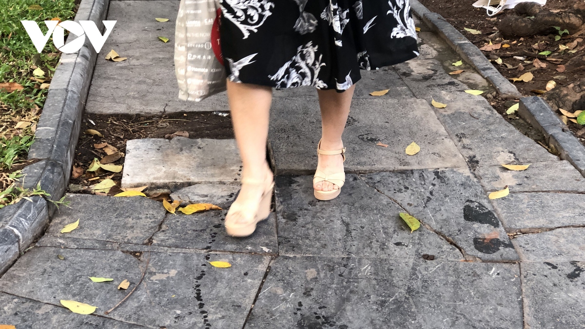 can canh vuon hoa co tan da lat sut lun, bong troc nhu bay nguoi qua lai hinh anh 6