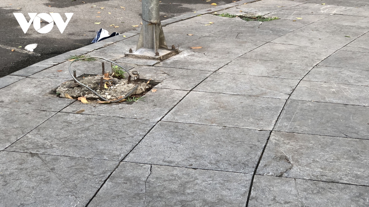 can canh vuon hoa co tan da lat sut lun, bong troc nhu bay nguoi qua lai hinh anh 9
