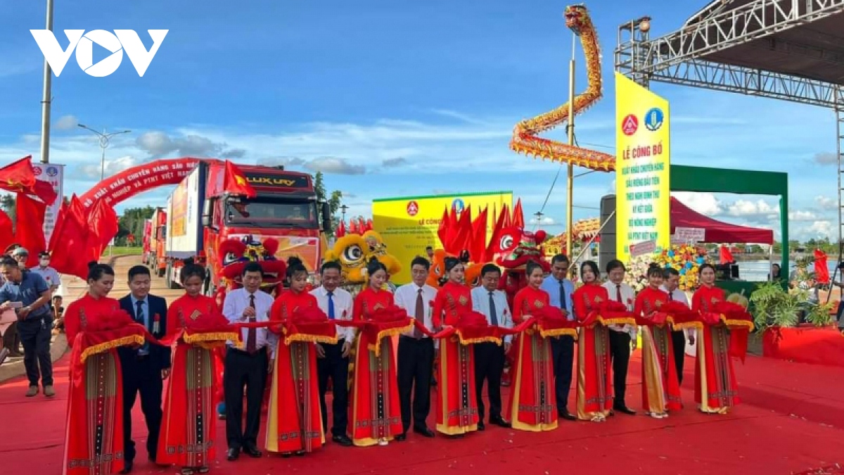 lo hong ma so vung trong sau rieng Dak lak nong dan to dn gian lan hinh anh 3