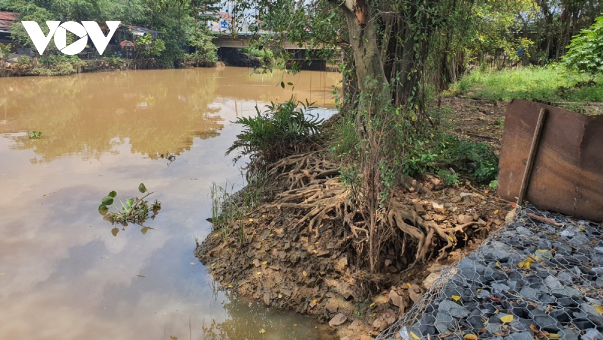doanh nghiep lan rach lam du an, binh duong noi co, Dong nai bao khong hinh anh 1
