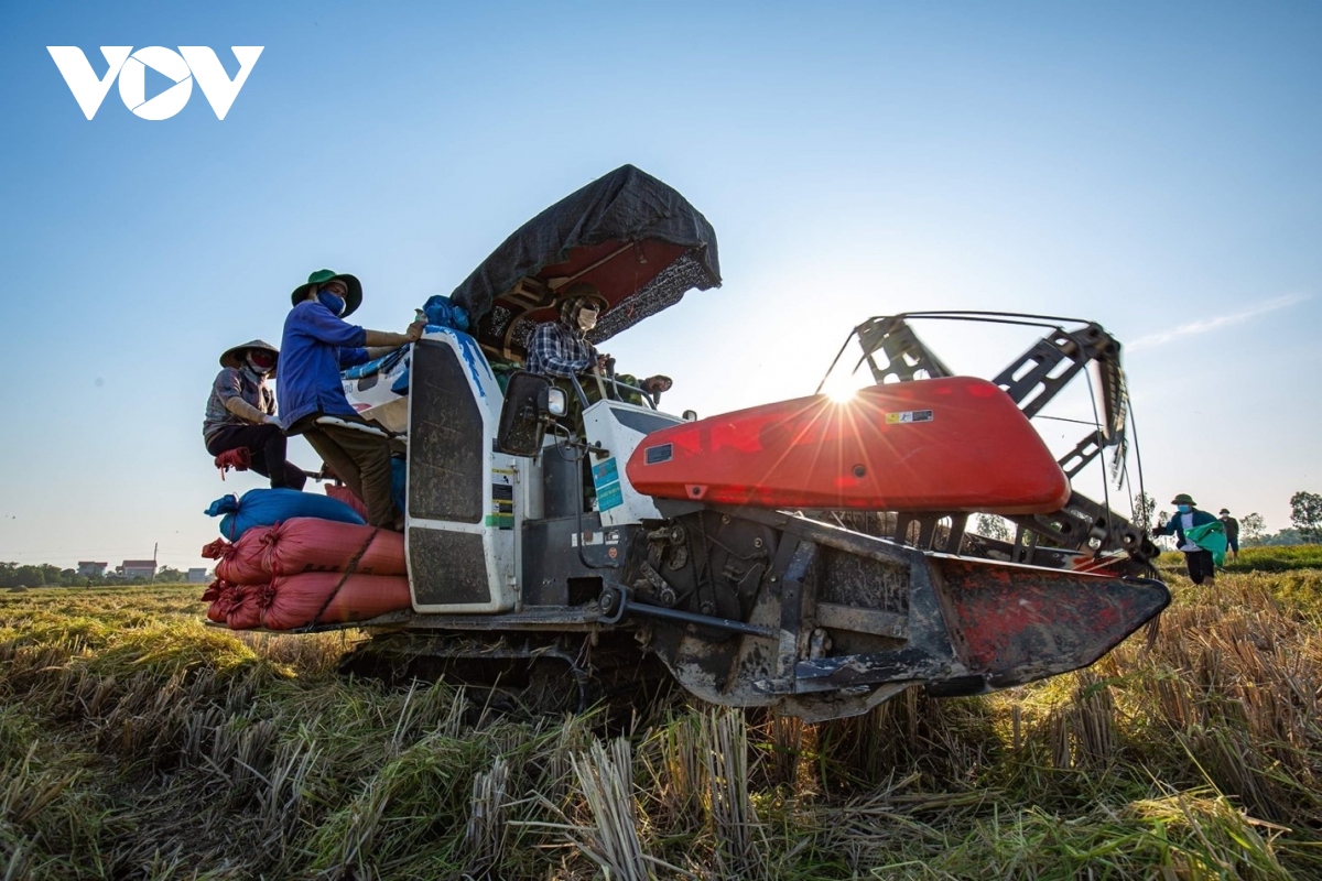 ngoai thanh ha noi nghi ngut khoi do dot rom ra hinh anh 14