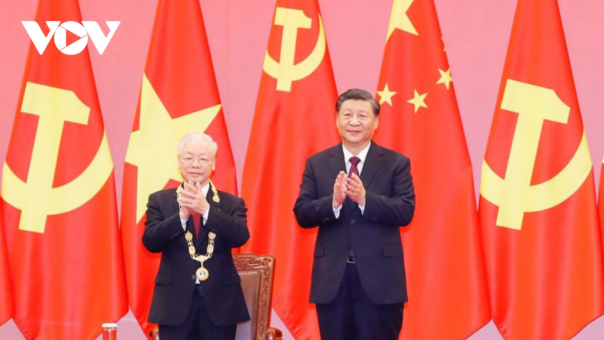 viet trung no luc nang quan he len tam cao moi hinh anh 1