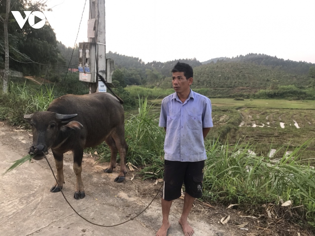 vinh phuc ngay dem dot rac hun nguoi dan o quang yen, song lo hinh anh 4
