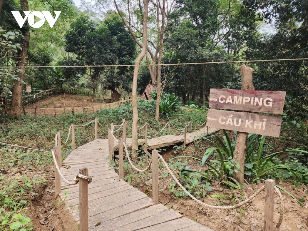 vi sao doanh nghiep lan chiem hon 36.000m2 rung phong ho khong ai biet hinh anh 1