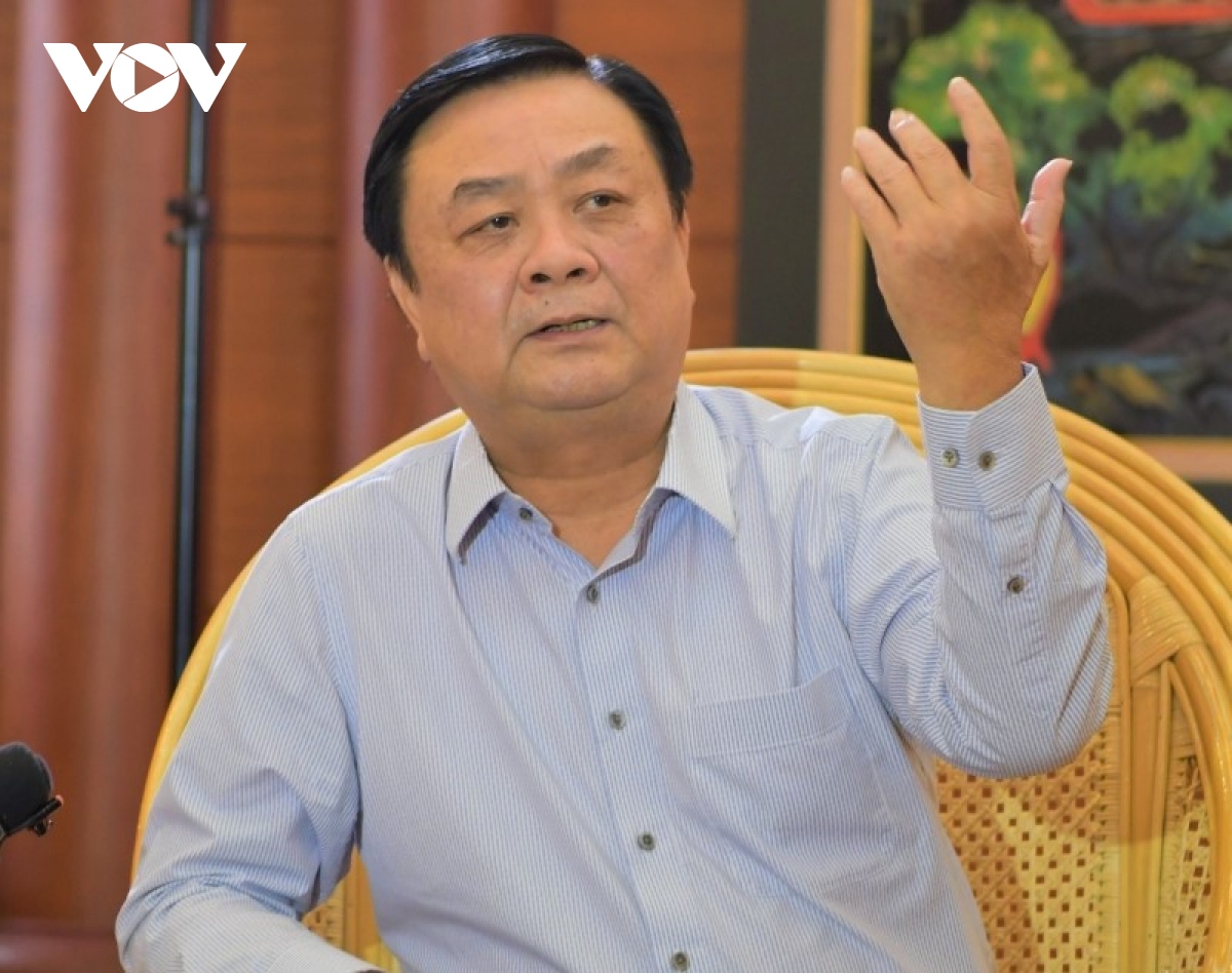 chuyen nghiep hoa nganh hang de mo rong thi truong xuat khau hinh anh 1