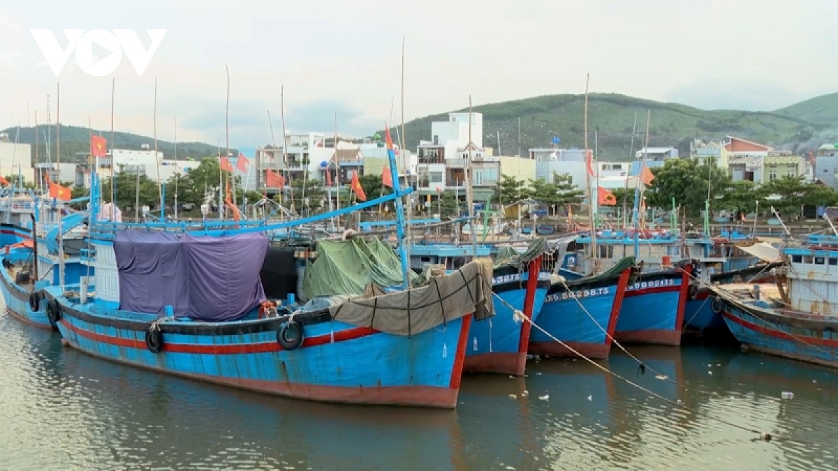 quang ngai giam so luong, nang cao chat luong tau ca hinh anh 1