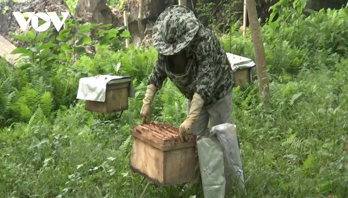 hop tac xa nong nghiep o lao cai kho khan trong tiep can von vay hinh anh 2