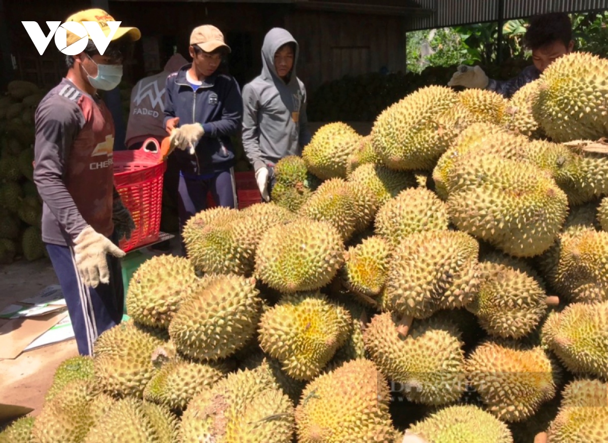 ket noi tim dau ra cho nong san mien nui hinh anh 1