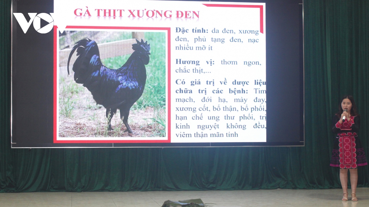 loat du an khoi nghiep cua thanh nien son la phat huy hieu qua hinh anh 2