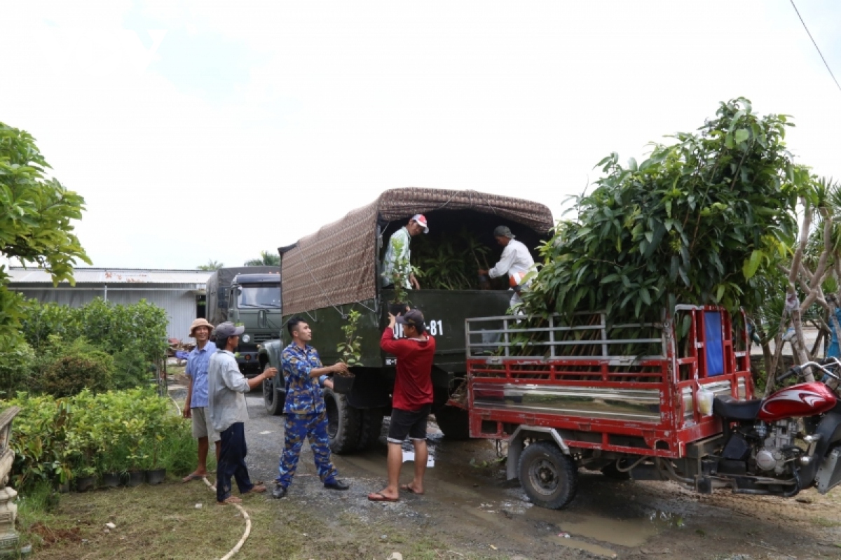 ben tre gui tang 15.000 cay giong ra truong sa hinh anh 1