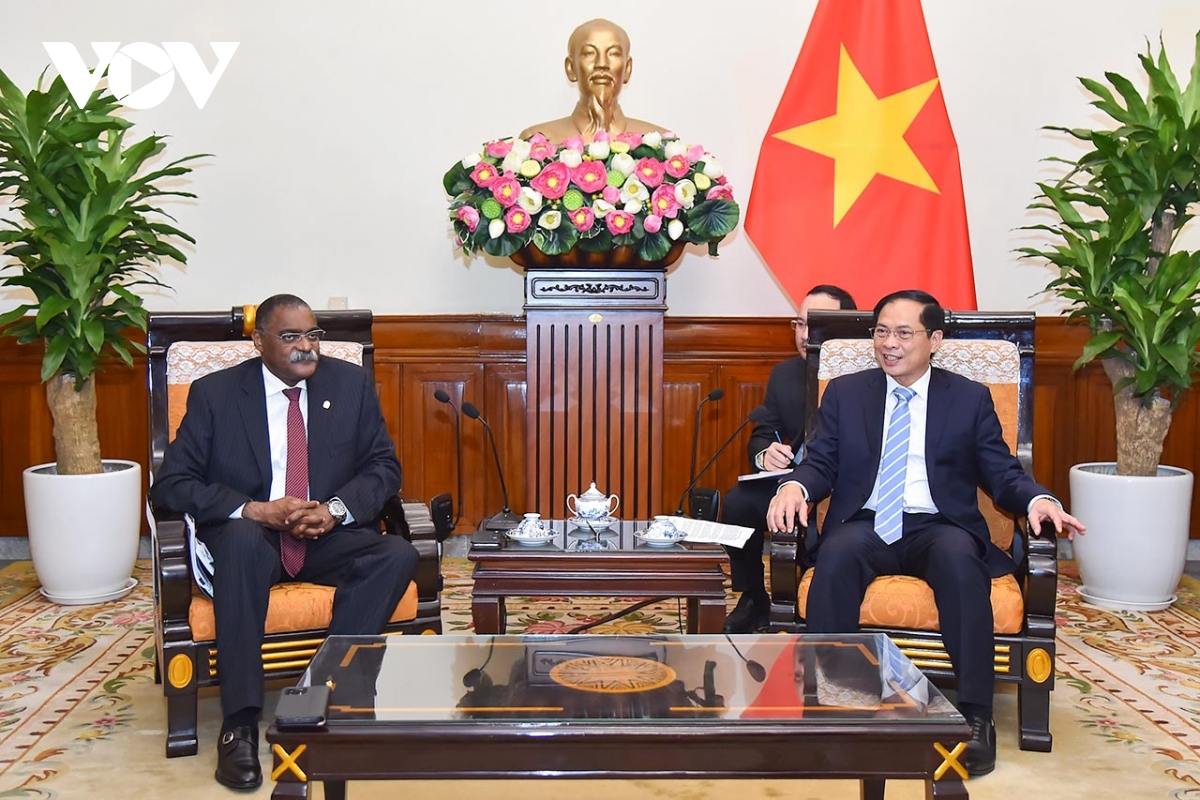 bo truong ngoai giao bui thanh son tiep quoc vu khanh bo ngoai giao angola hinh anh 2