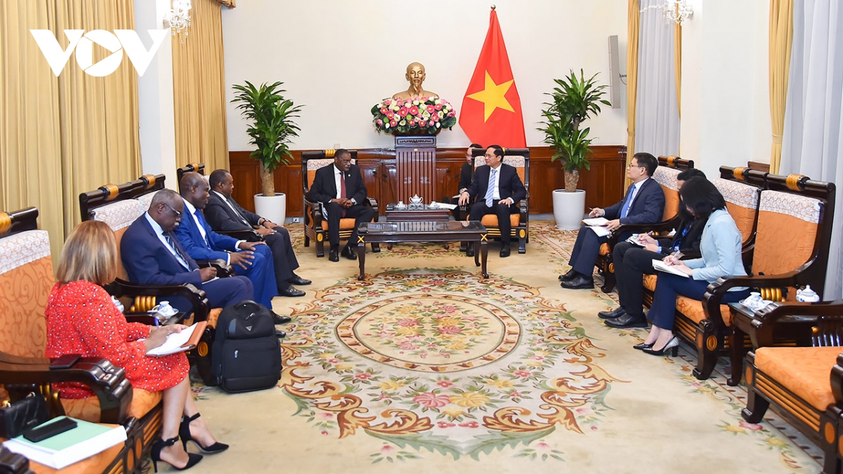 bo truong ngoai giao bui thanh son tiep quoc vu khanh bo ngoai giao angola hinh anh 1