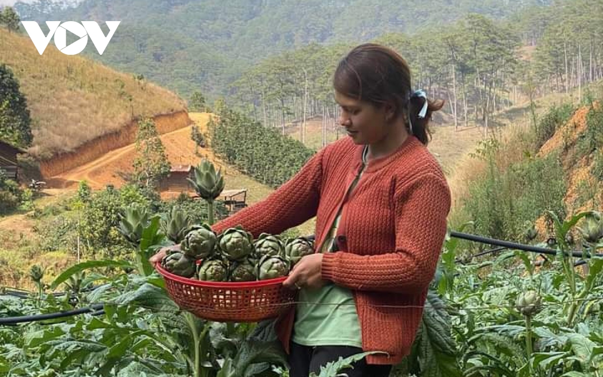 giao dan o lam Dong don giang sinh an lanh hinh anh 1