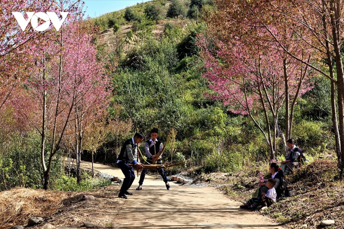 lan dau tien to chuc le hoi hoa to day o mu cang chai hinh anh 3
