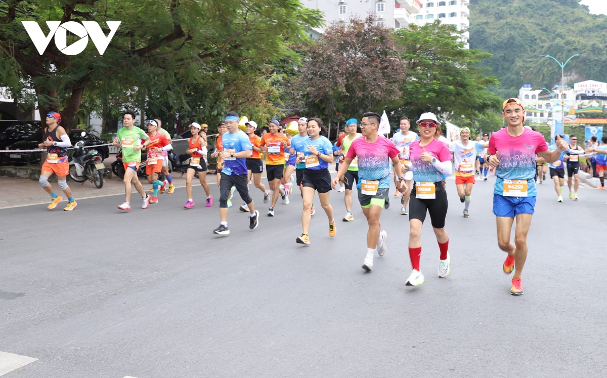 gan 3.000 vDv dot chay duong dua oneway marathon cat ba 2022 hinh anh 1