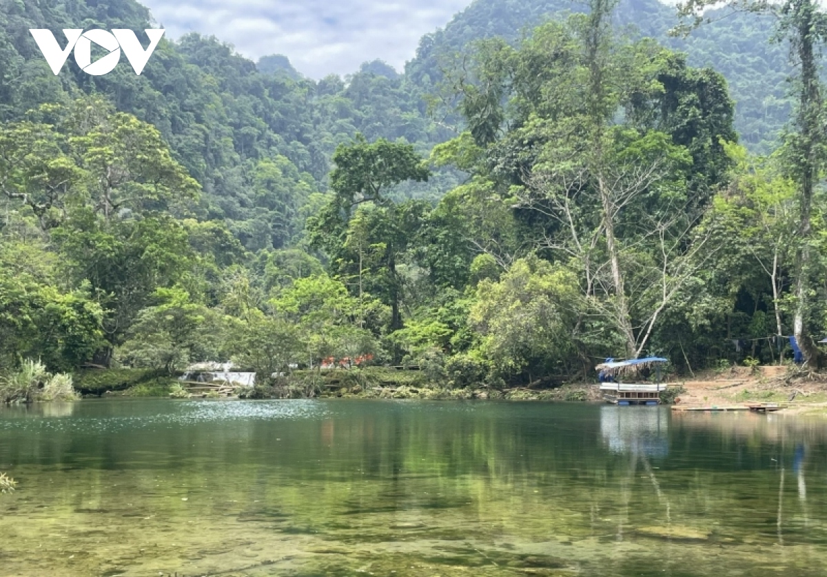  quang binh hop thuc hoa cho khu du lich tung hoat dong khong phep giua rung hinh anh 2