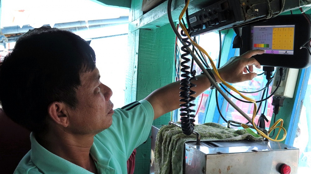 tau ca binh Dinh ung dung nhat ky khai thac va truy xuat nguon goc dien tu hinh anh 1