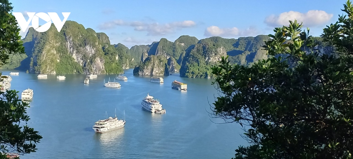 quang ninh san sang don khach cuoi nam va tet nguyen dan hinh anh 3
