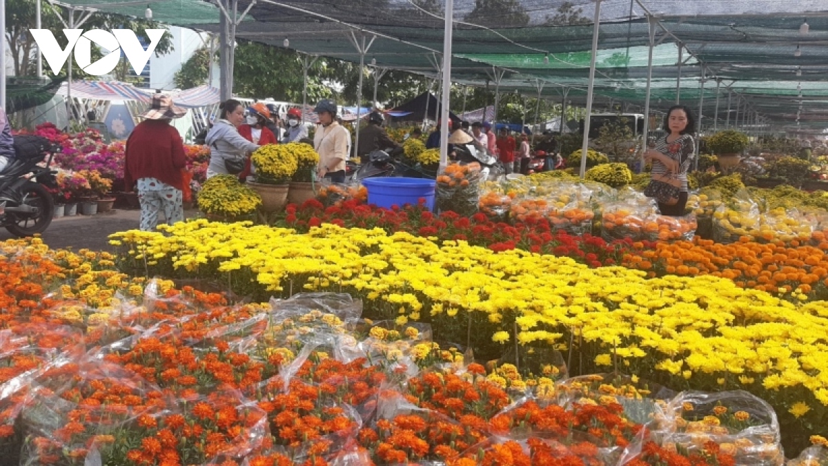 cho hoa xuan thanh pho my tho phong phu, suc mua cham hinh anh 1