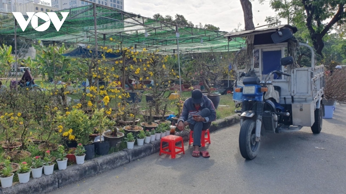 cho hoa tet o tp.hcm diu hiu, rau cu qua va trai cay hut hang hinh anh 1