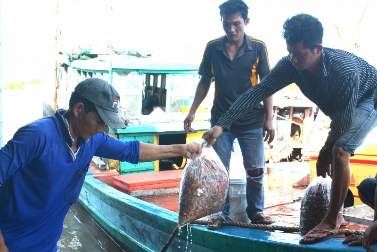 Dac san tom kho ca mau hut hang dip tet hinh anh 9