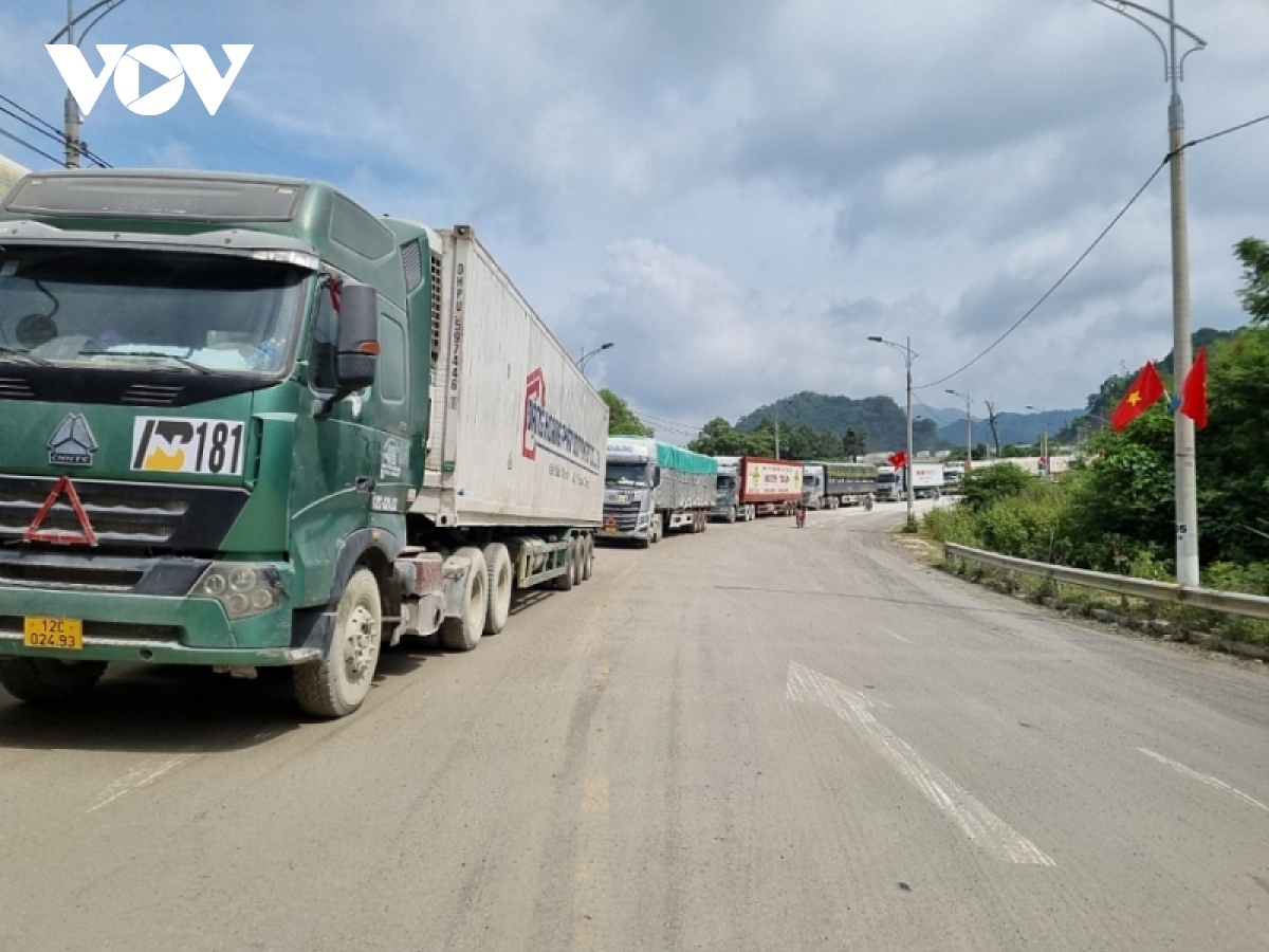 hang nghin tan nong san duoc xuat khau qua cua khau lang son sau tet hinh anh 1