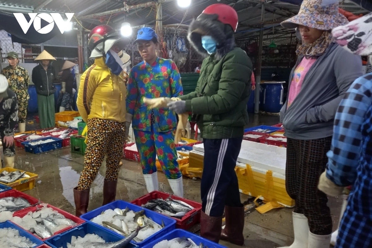 ngu dan khanh hoa tat bat chuyen bien cuoi nam hinh anh 1
