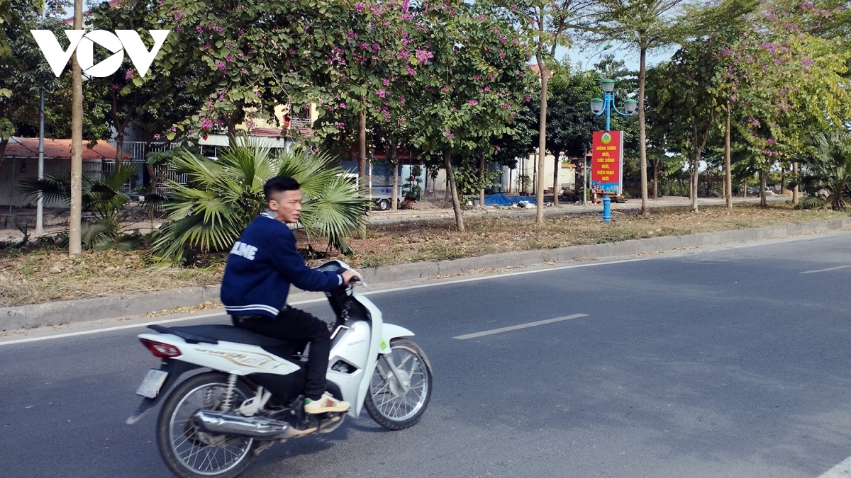 ngay tet, nhan nhan tinh trang khong doi mu bao hiem khi tham gia giao thong hinh anh 5