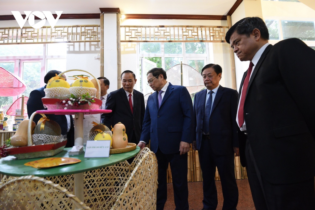 thu tuong pham minh chinh du hoi nghi tong ket nganh nong nghiep hinh anh 1