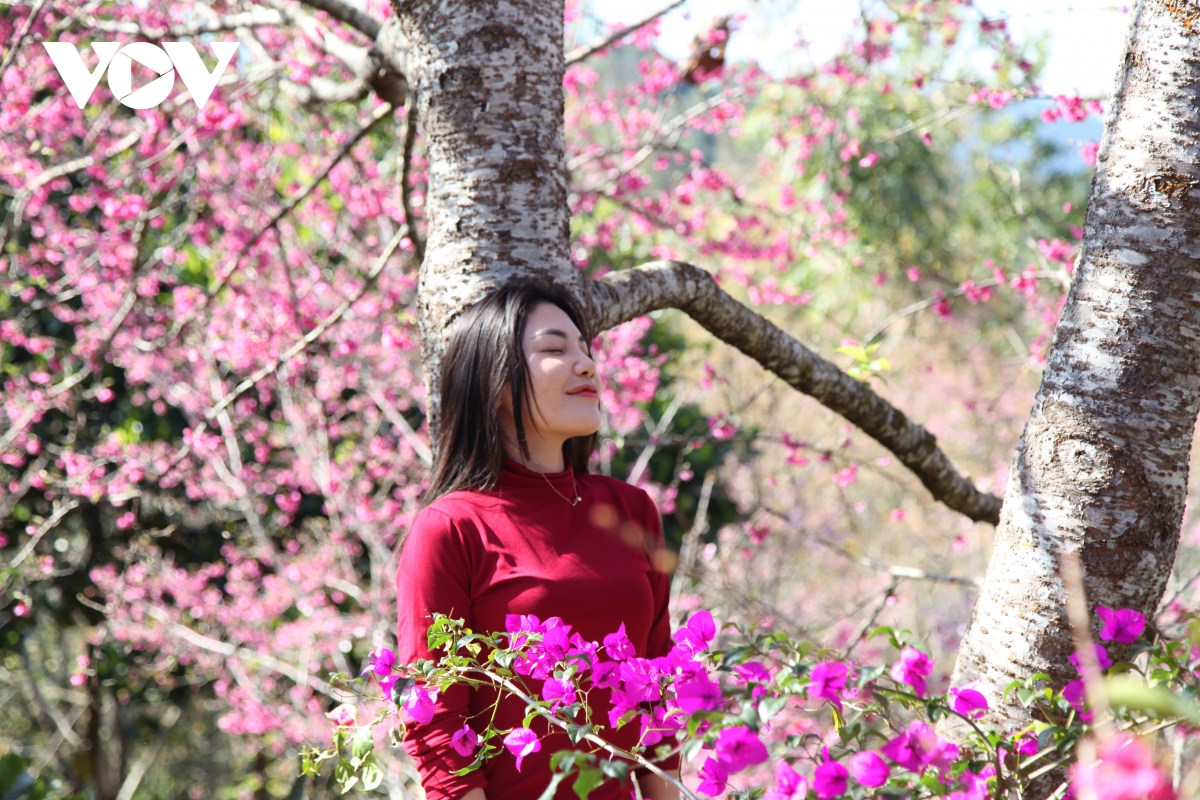 Dam say nhung mua hoa nui rung muong thanh hinh anh 15
