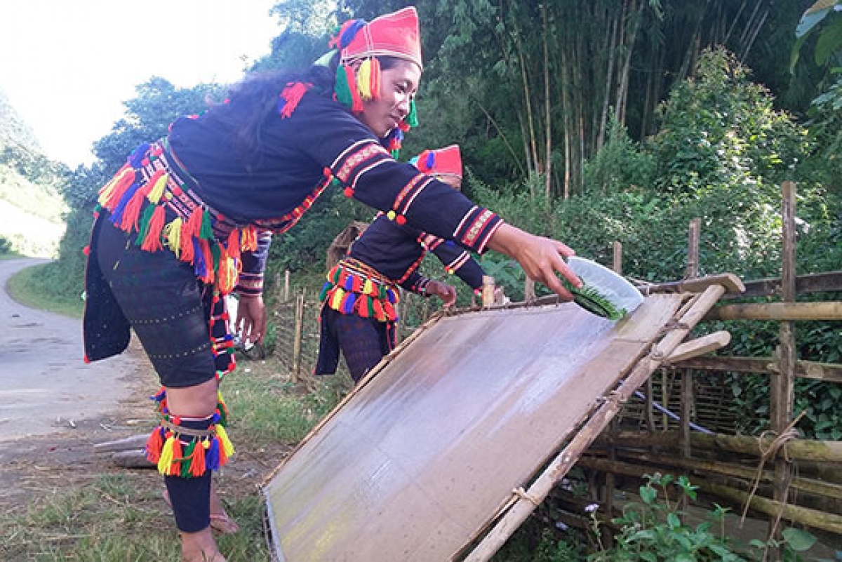 ban dao phieng bay khoi sac nho chuyen doi co cau cay trong vat nuoi hinh anh 2