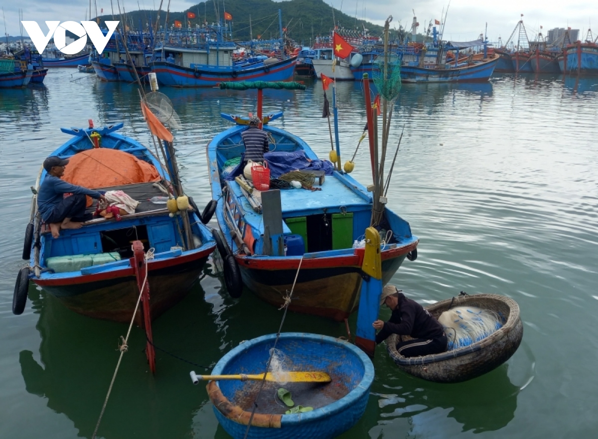 ngu dan khanh hoa tat bat chuyen bien cuoi nam hinh anh 2