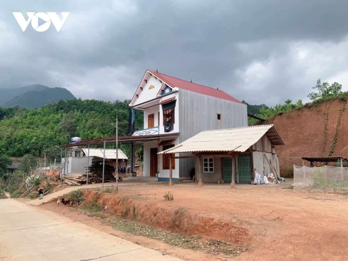 sac xuan tren dinh nui hoa hinh anh 3